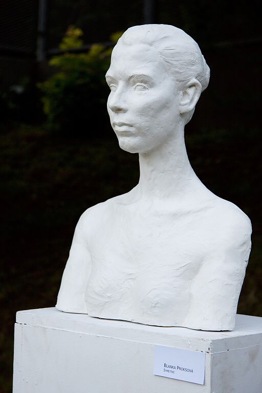 Společná výstava, červen 2010